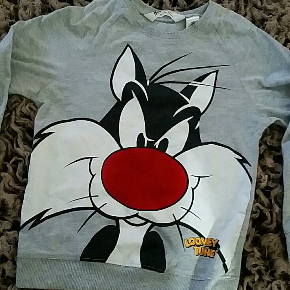 H&M sweater from Looney Tunes